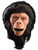 Adult's Classic Planet Of The Apes Doctor Cornelius Chimp Mask Costume Accessory