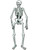 2 Count Halloween Jointed Creepy Spooky Skeleton Figurine Props Decoration 22"