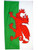 3x5 National Flag of Wales The Red Dragon Welsh Flags