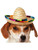 Mini Multicolor Sombrero Hat For Pet Dog Costume Accessory