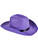 Adults Purple Western Rodeo Urban Cowboy Hat Costume Accessory