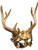 Adult's Mythical Creature Faun Gold Masquarade Half Mask Costume Accessory