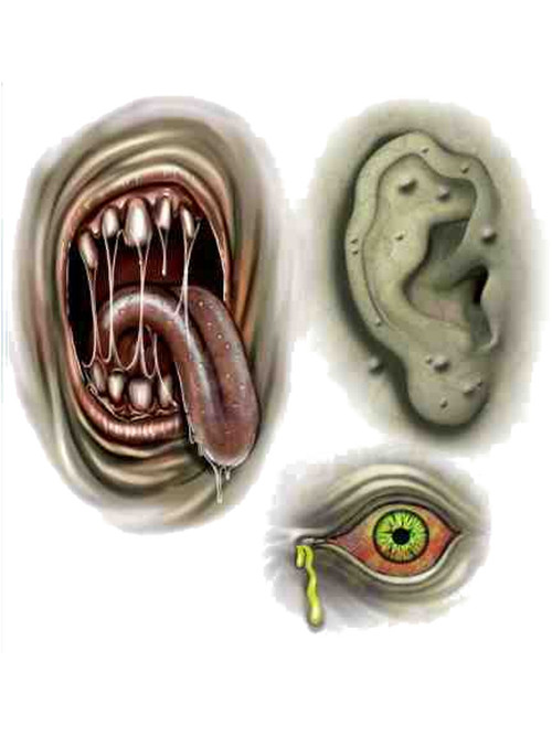 Gory Biohazard Zombie Temporary Tattoo Set