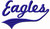 Eagles With Swash Tail Machine Embroidery Design