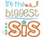 Biggest Sis Applique Machine Embroidery Design