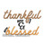 Thankful & Blessed Machine Embroidery Design