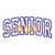 Senior Dad Applique Machine Embroidery Design