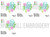 Popsicle with Flowers Machine Embroidery Design
