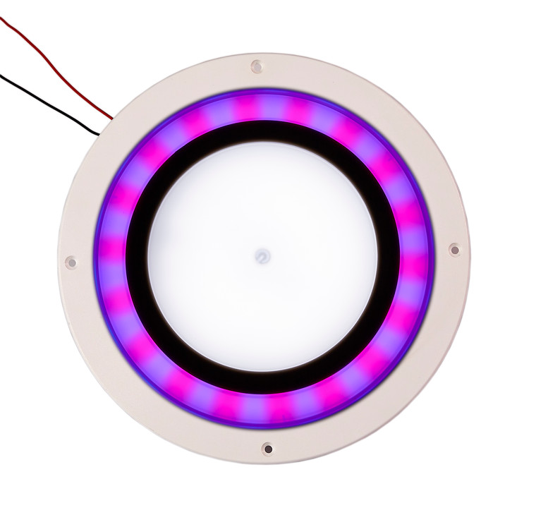 Three-Color LED Interior Light/ Spectrum Light, 10-30VDC(00777-TSWRB)
