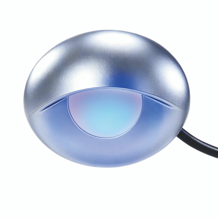 Marine LED Courtesy Light – Surface Mount, IP67
