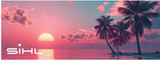 3611 DMVB2 Economy Banner Vinyl