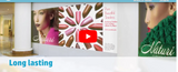 HP Everyday Adhesive Matte Polypropylene
