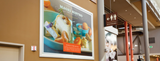 HP White Satin Poster Paper