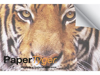 PaperTyger 27#/100 gsm, 34" x 200' 3"Core, 467C34E