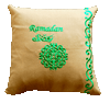 Ramadan Embroidered Pillow Case