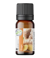 Ginger Esssential Oil Zingiber officinale buy online