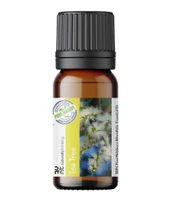 Tea Tree Essential Oil Melaleuca alternifolia properties and buy online