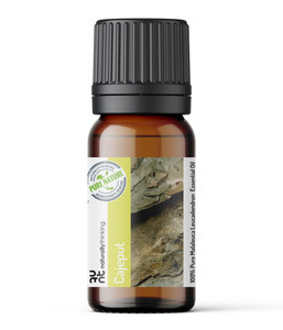 Cajeput essential oil Malaleuca leucadendron for aromtherapy use