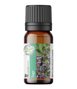 Sage essential oil Salvia officinalis properties and buy online Sage essential oil Salvia officinalis properties and buy online