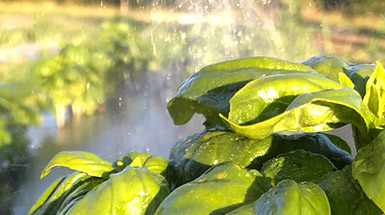 Your first blog post!