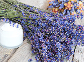 Drying Lavender Flowers