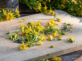 Understanding the solubility of extracts