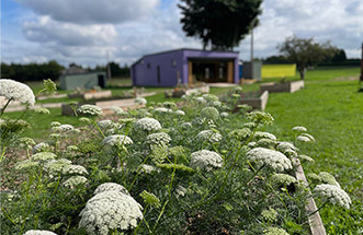 Visit our Farm year around