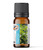 Organic Peppermint Essential Oil Organic Peppermint Essential Oil