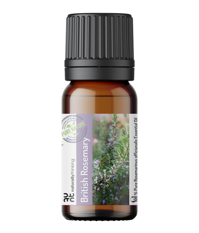 British Rosemary Essential Oil grown on the Surrey Hills, Banstead