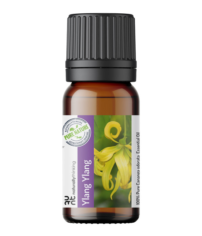 Ylang Ylang essential oil Cananga odorata properties and buy online