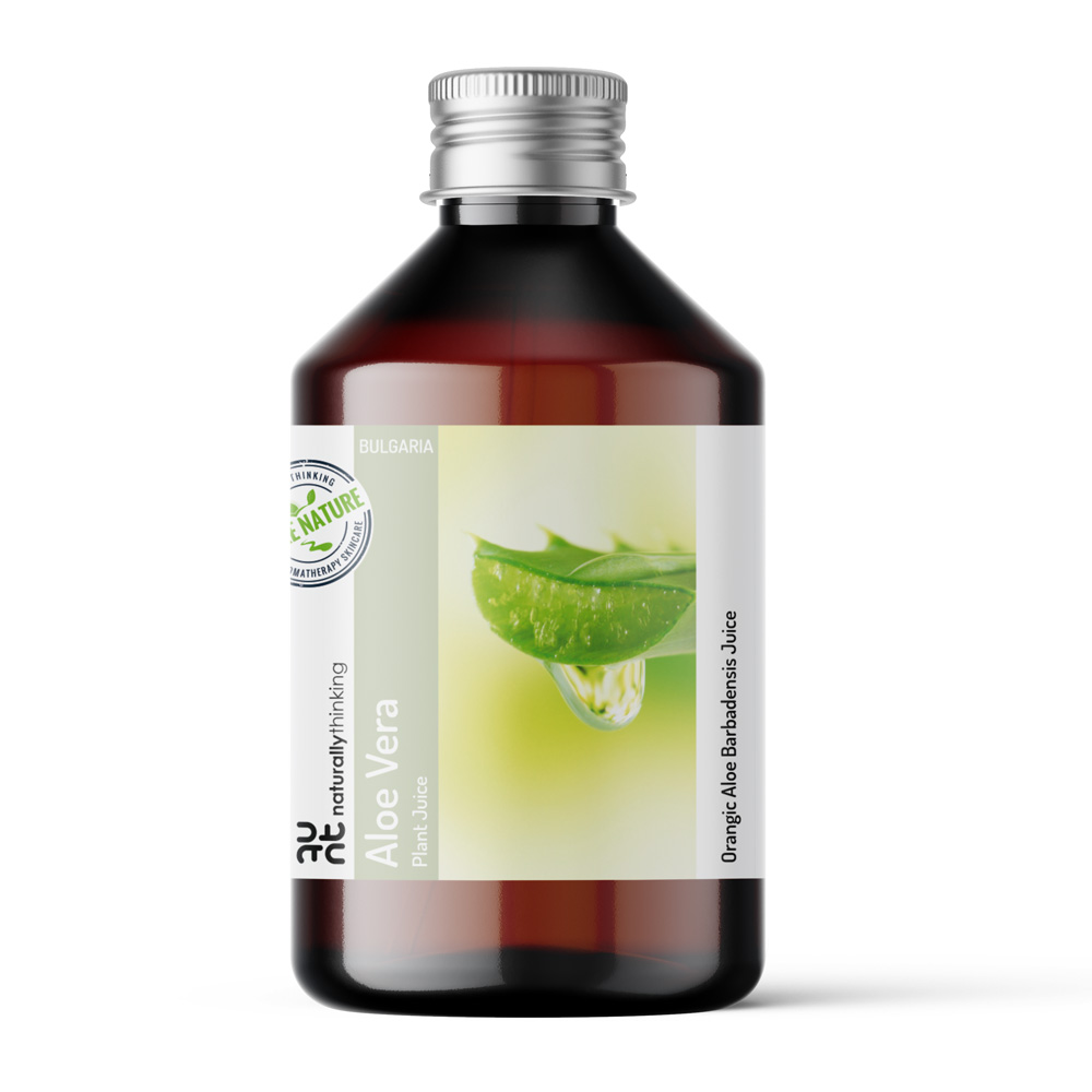 aloe cosmos Aloe Cosmo main image 0