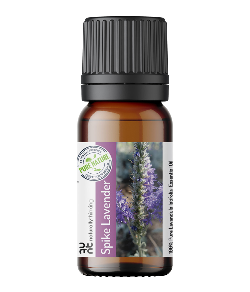 Lavender, Spike (Lavandula latifolia) essential oil, Organic – Wingsets