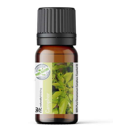 Camphor essential oil, Cinnamomum camphora by Naturallythinking