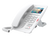 H5W  -  Fanvil Wireless SIP Hotel Phone