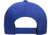 FlexFit 110C  Pro-Formance® Solid Cap | Royal