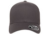 Flexfit 110M Adult 110® Mesh Cap | Charcoal