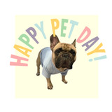 April 11th is National Pet Day! 