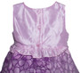 Toddler Girl Special Day Embroidered Dress