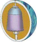 AMF 300 Terminal Velocity Bowling Ball 123Bowl