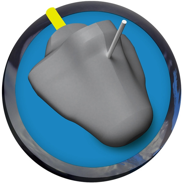 Radical Zing Hybrid Bowling Ball - 123Bowl