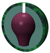 Brunswick Avalanche Black / Electric Green Bowling Ball - 123Bowl