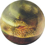 Ebonite Optyx Snake Bowling Ball 123Bowl