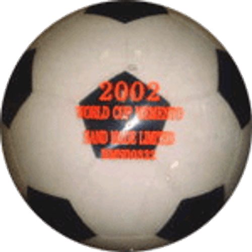 Soccer 2002 - LE