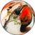 Track Spare+ Black/Orange/White Diamond Bowling Ball