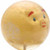 Year of the Pig