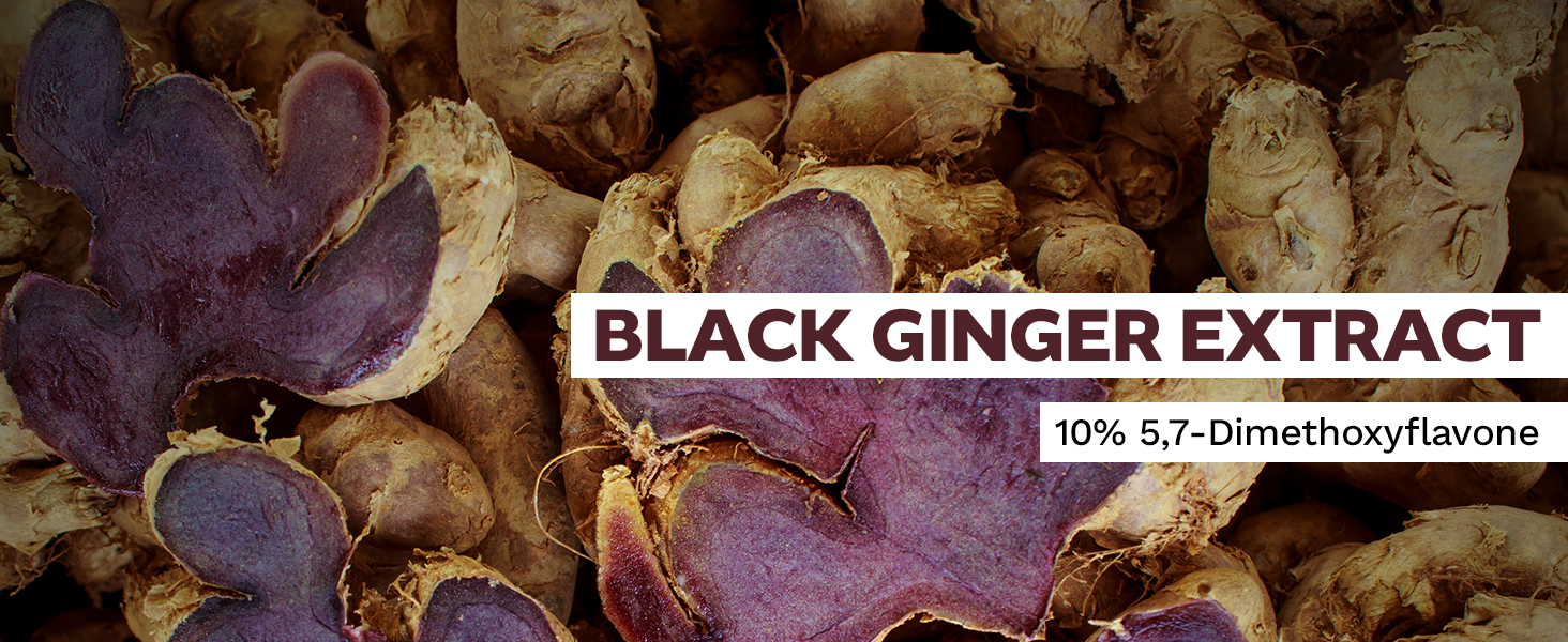 Black Ginger Extract featuring sliced purple-black rhizomes with text highlighting 10% 5,7-Dimethoxyflavone content.