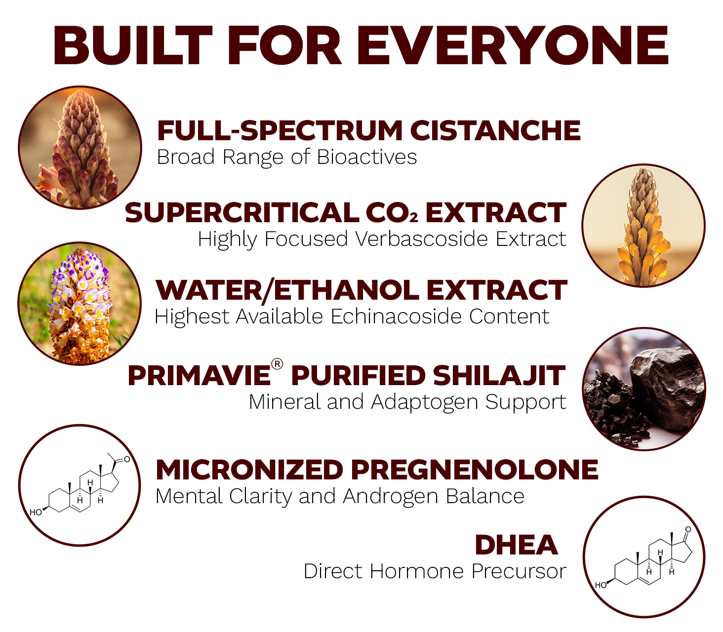 Nootropics Depot supplement ingredient infographic showing cistanche extracts, purified shilajit, pregnenolone, and DHEA benefits.