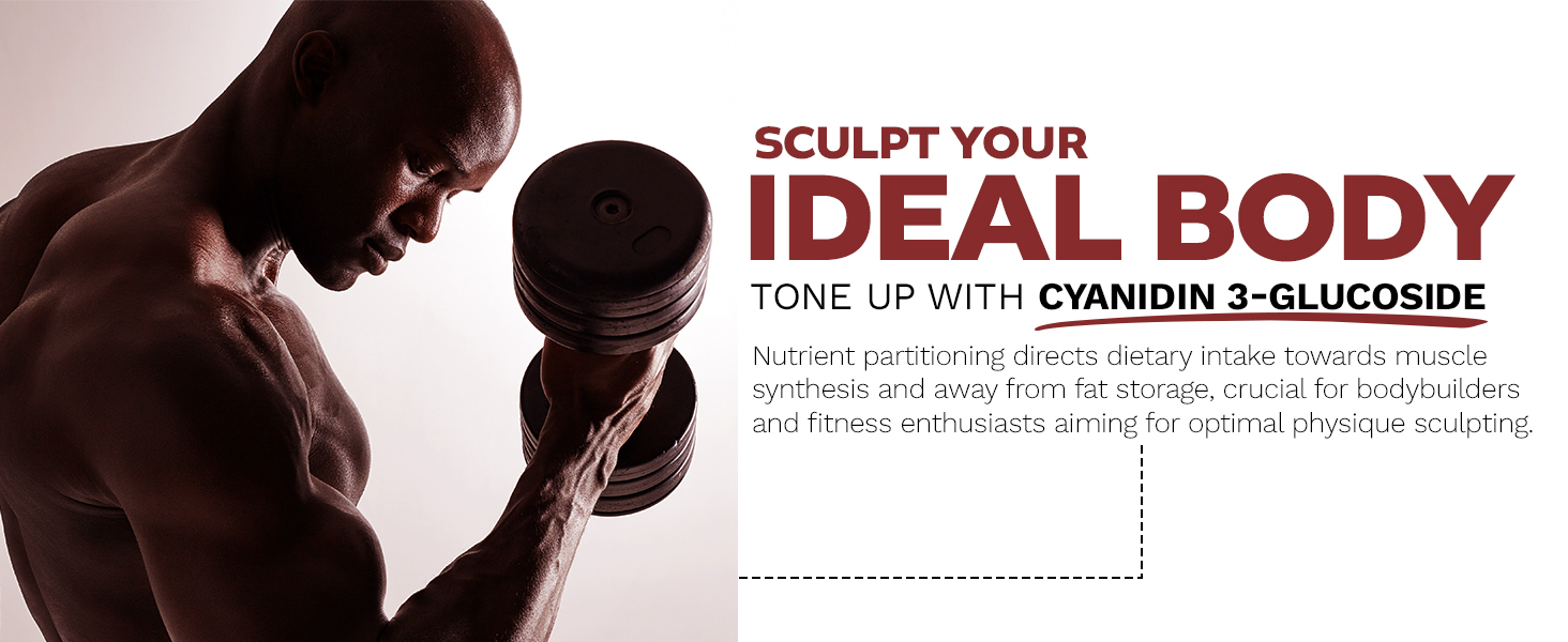 Bodybuilder lifting a dumbbell with text promoting Cyanidin 3-Glucoside for muscle synthesis and fat partitioning.