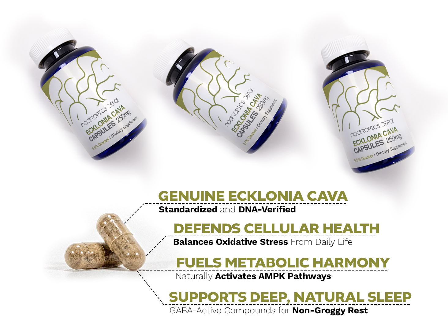 Nootropics Depot Ecklonia Cava capsules with benefits listed: cellular health, metabolic harmony, and deep natural sleep.