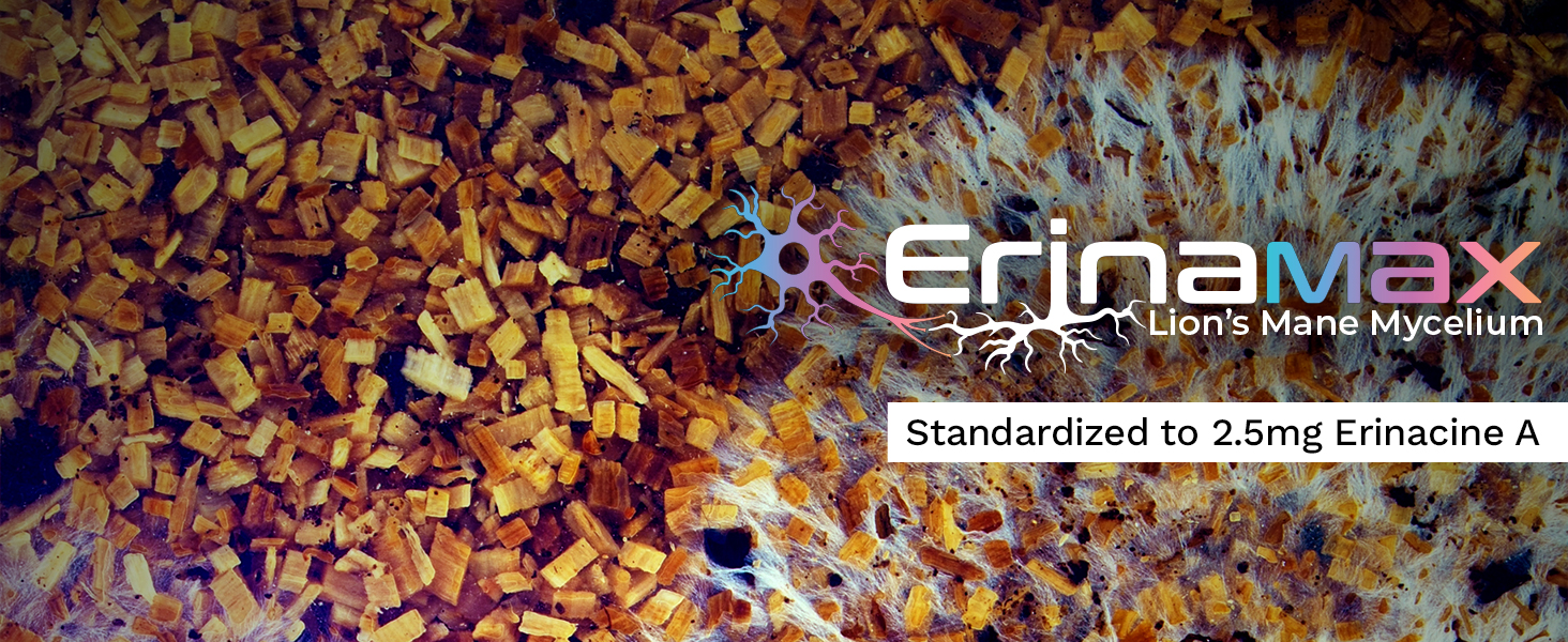 ErinaMax Lion's Mane Mycelium with a close-up of golden-brown mycelium substrate and white fungal growth, standardized to 2.5mg Erinacine A.
